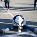 Salem alumni Adrianna Beltran rests on the ground during an award ceremony on Saturday. Daniel Brenner I AnnArbor.com